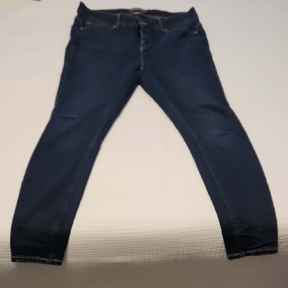 Torrid Blue Skinny Jeans Classic Style